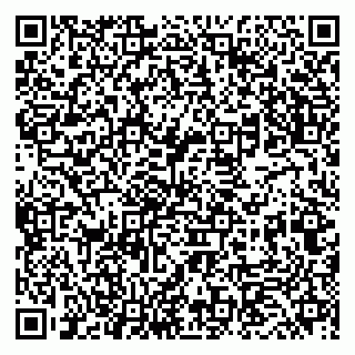 vCard 79833400267