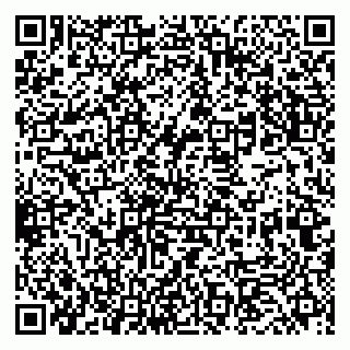 vCard 79833400272