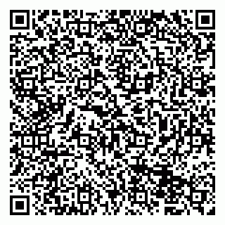 vCard 79833400273