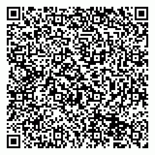 vCard 79833400281