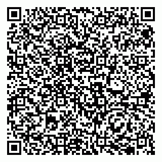 vCard 79833400291