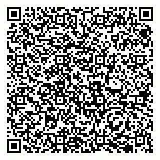 vCard 79833400294