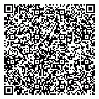 vCard 79833400295