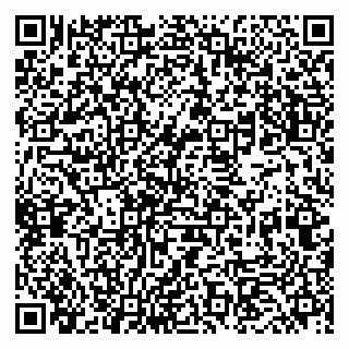 vCard 79833400298