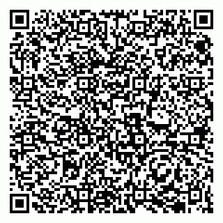 vCard 79833400303