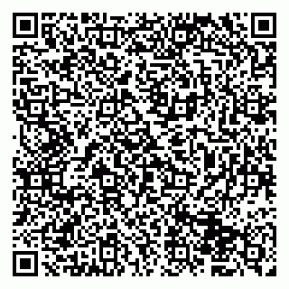 vCard 79833400307