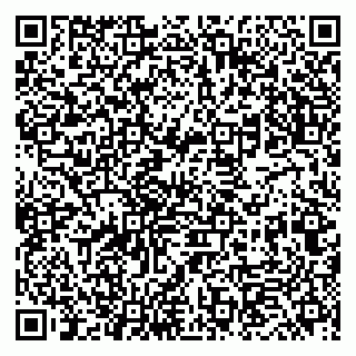 vCard 79833400311
