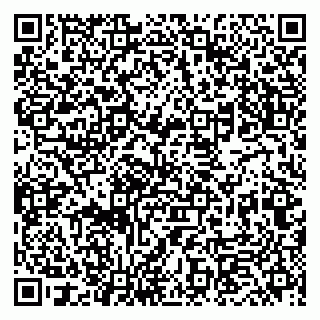 vCard 79833400318