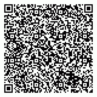 vCard 79833400319
