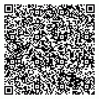 vCard 79833400330