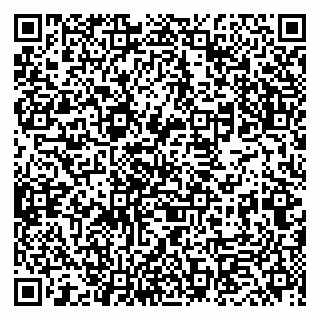 vCard 79833400331