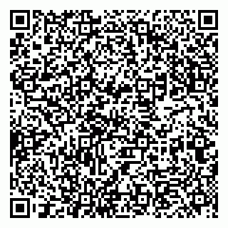 vCard 79833400333