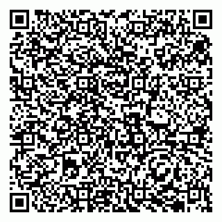 vCard 79833400339