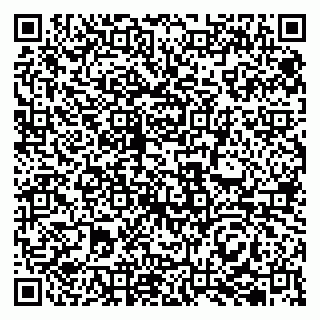 vCard 79833400371