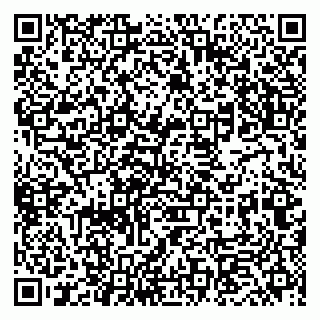 vCard 79833400373