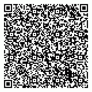 vCard 79833400381