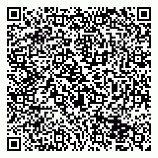 vCard 79833400382