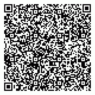 vCard 79833400383