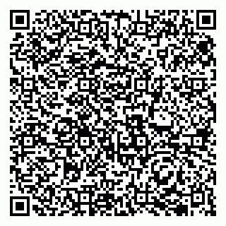 vCard 79833400385