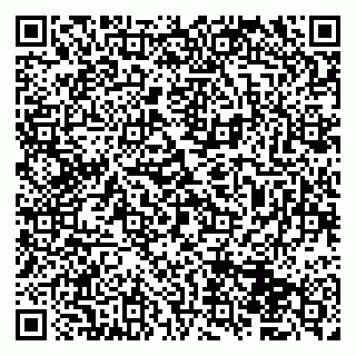 vCard 79833400386