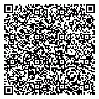 vCard 79833400387