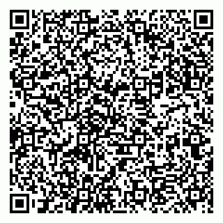 vCard 79833400389
