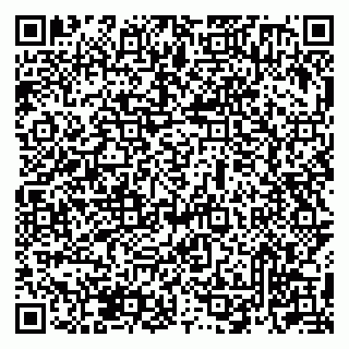 vCard 79833400393