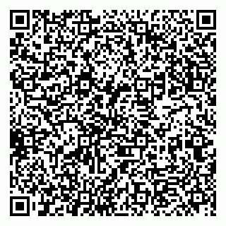 vCard 79833400399