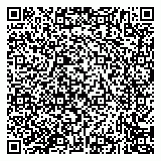 vCard 79833538002