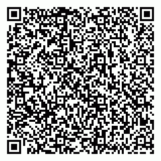 vCard 79833538003