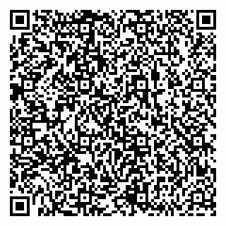 vCard 79833538004