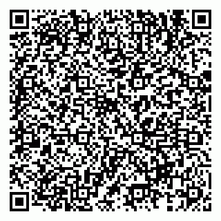 vCard 79833538019
