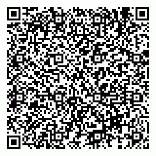 vCard 79833538031