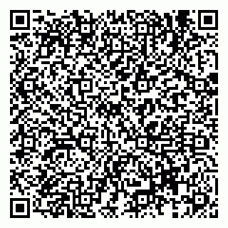 vCard 79833538033