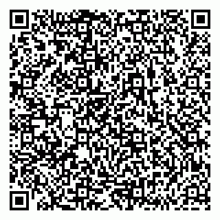 vCard 79833538052