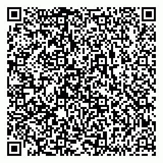 vCard 79833538082