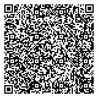 vCard 79833538103