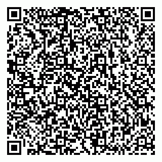 vCard 79833538109