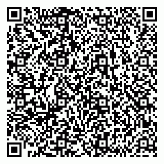 vCard 79833538121