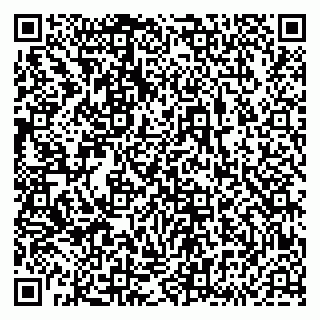 vCard 79833538124