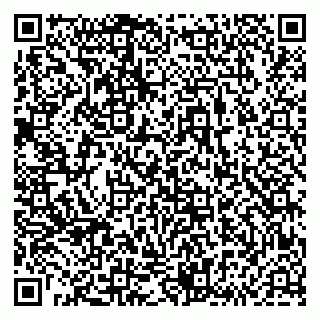 vCard 79833538126