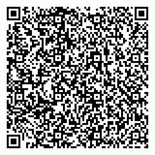 vCard 79833538128