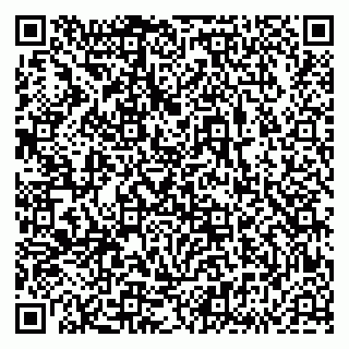 vCard 79833538135