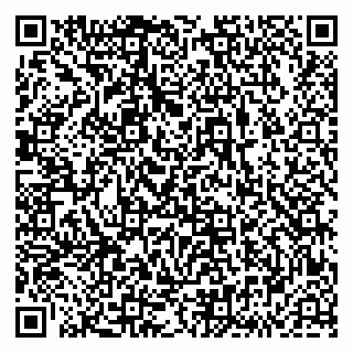 vCard 79833538139