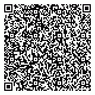 vCard 79833538141