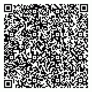 vCard 79833538149