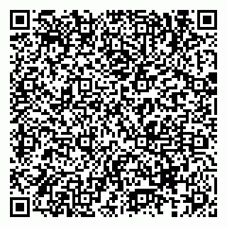 vCard 79833538157