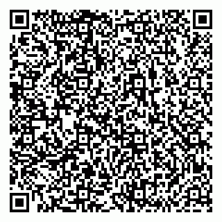 vCard 79833538160