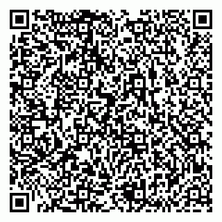 vCard 79833538198