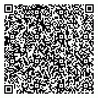 vCard 79833538199